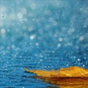 《醉卧相遇古巷间》.wav