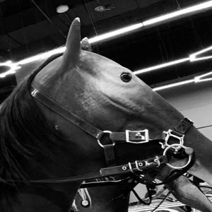 周末教学（prod.FaunmU/GOAT CREW）