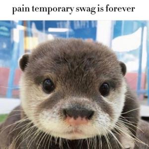 had to macc a n with the leftie (feat. lani)