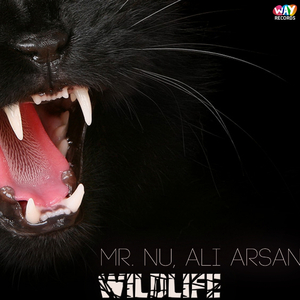 Wildlife (Original Mix)