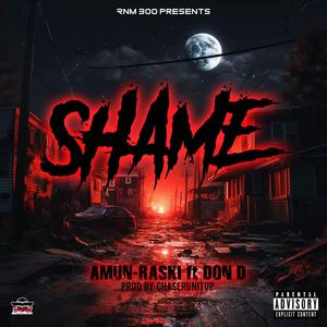 Shame (feat. Don D)