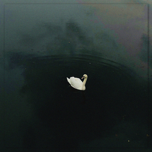 Downfall