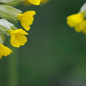 没有感情了（5）