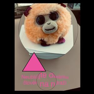 Pohlednice (text V. Effenberger)