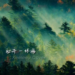 林海-初开（Xeeleey remix）