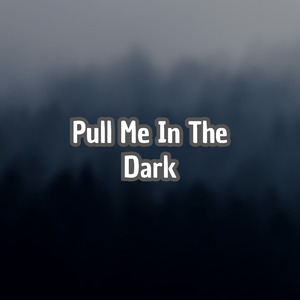 Pull Me In The Dark (Remix)
