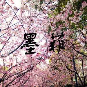 那朵花-与你最后的夏天ED