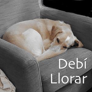 Debí Llorar