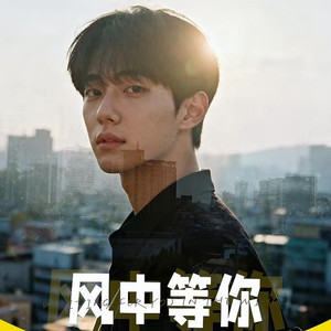 风中等你