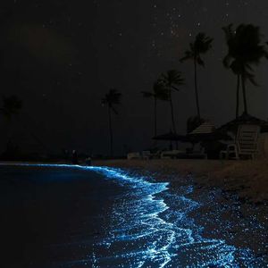 范倪Liu-我都明白