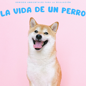 Mareas De Tiempo