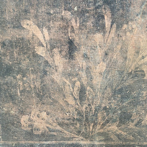 Ta garrigue en fleur (Radio Edit)