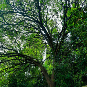 hayat sandığımdan daha tarifsiz