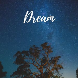 Calming Ocean Rolling