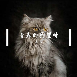 1_青春的愿望-整曲