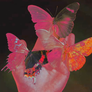 【Free】“Butterflies” Don toliver & Gunna Type Beat