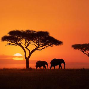 Ego (Afro Soul Cover)