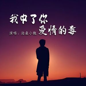 我中了你爱情的毒