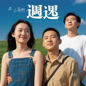 遇到（Cover 方雅贤）