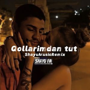 Qollaremdin tut（ remix）