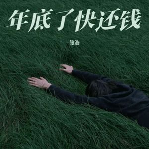年底了快还钱
