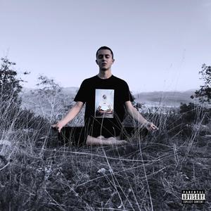 NON POSSO PIÙ STARE ONLINE (feat. Push2)
