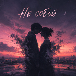 Не собой