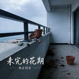 未完的花期