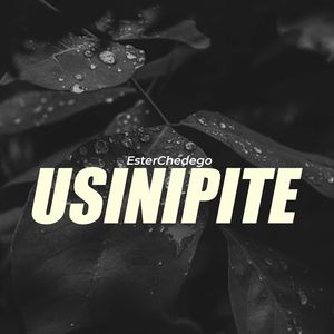 Usinipite