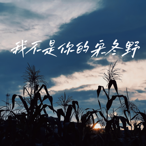《我不是你的宋冬野》