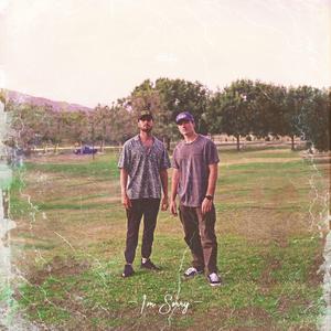 I'm Sorry (feat. Ian D)