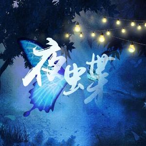 夜蝶