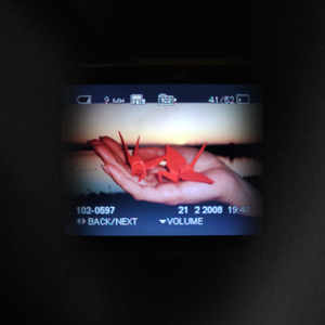 Кровавый закат