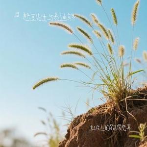 土坡上的狗尾巴草