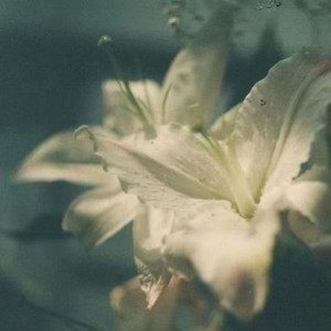 恰逢你情深意浓 烟嗓船长