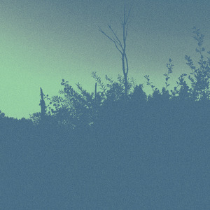 Lil Punk (feat. Chucky Slick & Nique Rose)