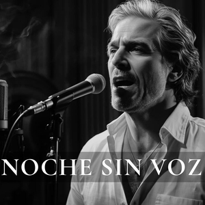 Noche Sin Voz
