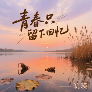 青春只留下回忆(伴奏)