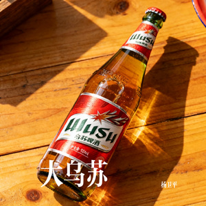 大乌苏
