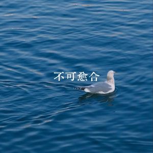 不可愈合