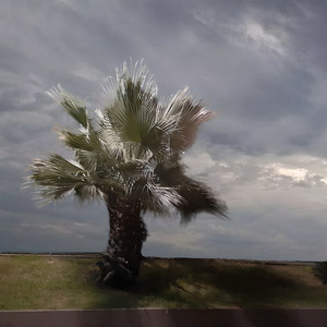 Всю ночь до рассвета