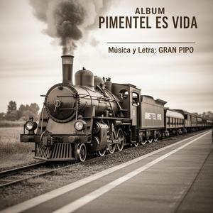Viaje a Pimentel. Pimentel es Vida