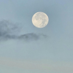 朧月夜 - ハーモニカソロ