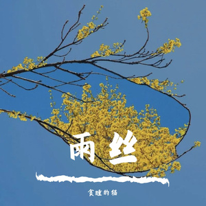少年锦时