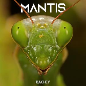 Mantis