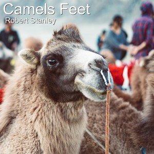 Camels Feet