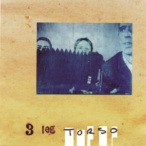 The Cat and the Rooster