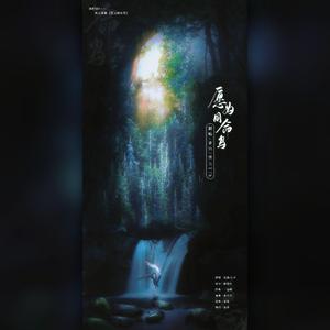 愿为同命鸟（琅琊榜2同人歌曲）