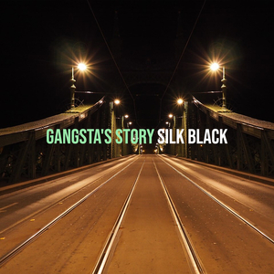 Gangsta's Story