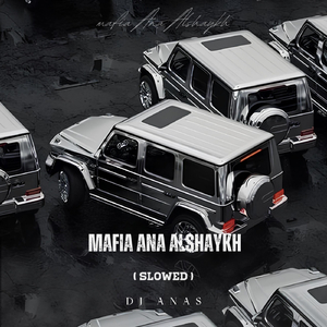 Mafıa Ana Alshaykh (Slowed)